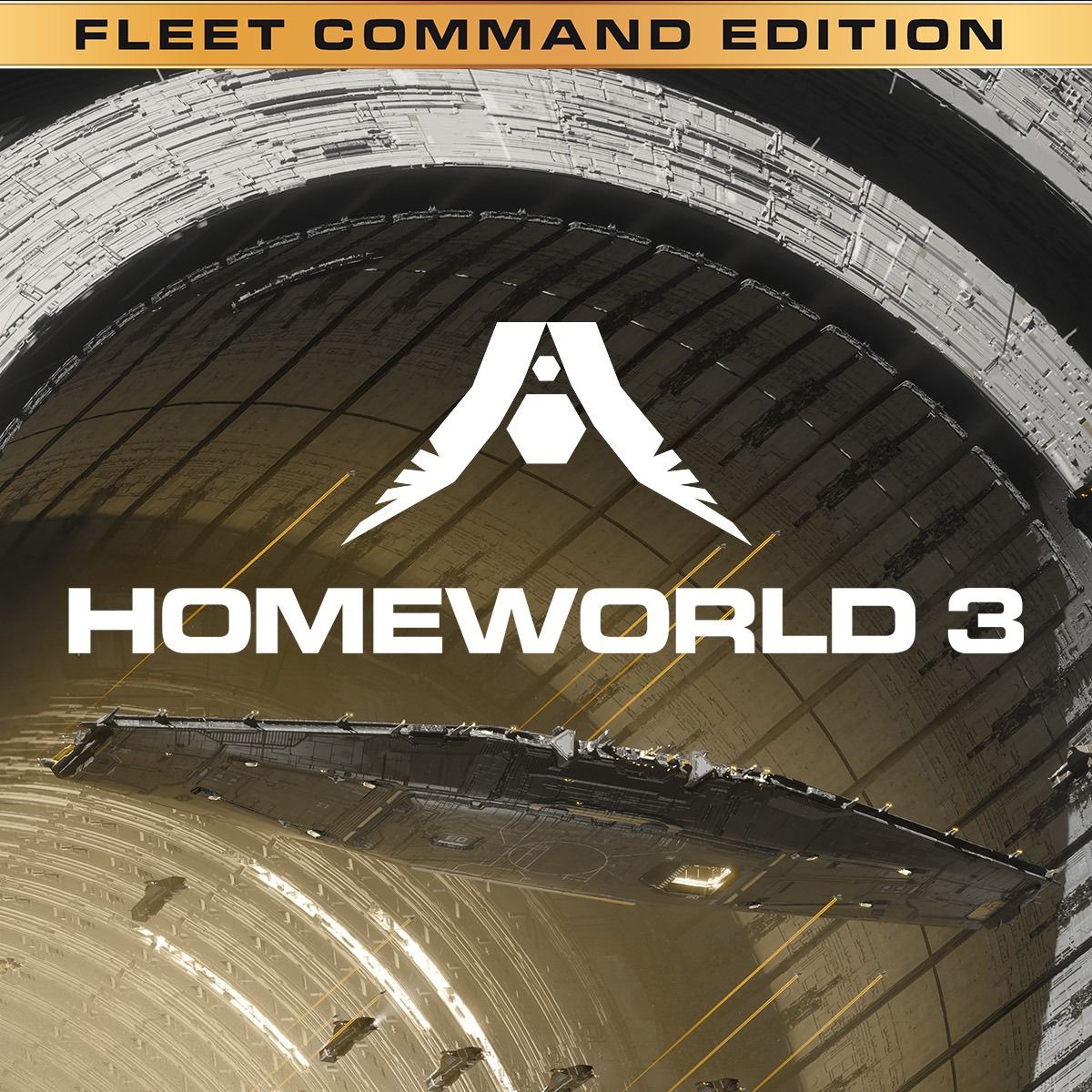Homeworld 3 | Fleet Command Edition - Steam Key - GLOBAL